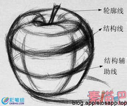 结构素描苹果画法