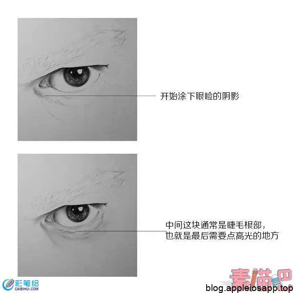 人物眼睛超写实素描画法第六步