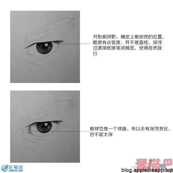 人物眼睛超写实素描画法第五步