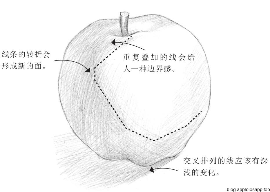 素描苹果画法：交叉线形成面