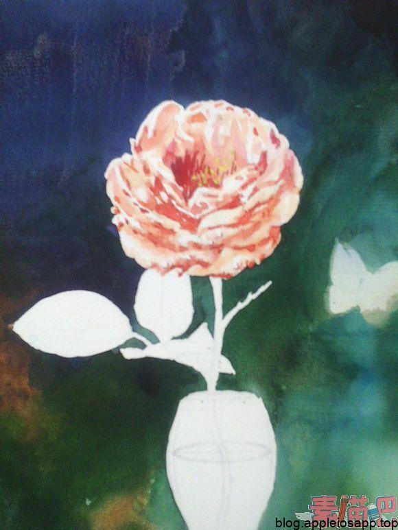 水彩临摹油画玫瑰静物绘画步骤过程